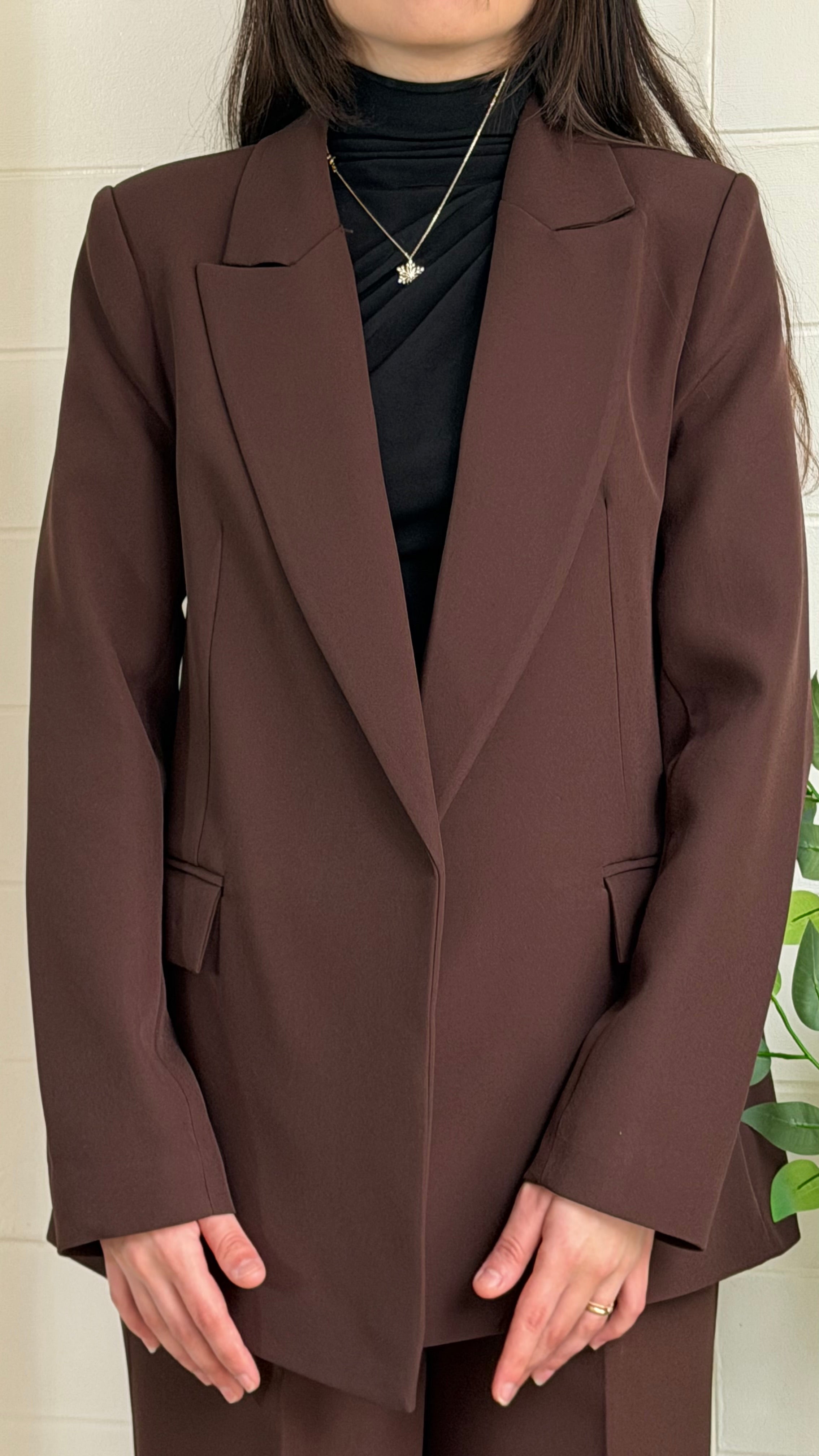 Çizgili Astarlı Blazer Ceket & Pileli Palazzo Pantolon Takım / Kahve